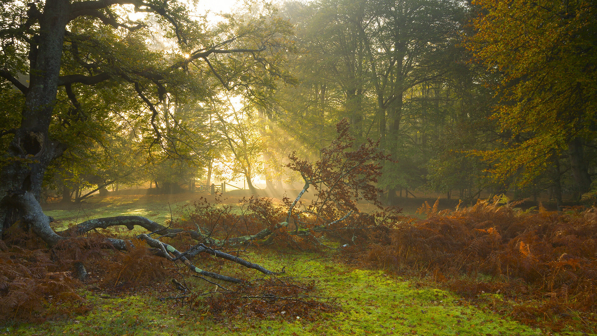 羽林烽烟起，三晋破长空，山西队决战老鹰队，一战撼动世界版图