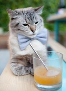 黑白直播在线观看nba-绿茵场与地缘棋盘，关键先生的决胜逻辑