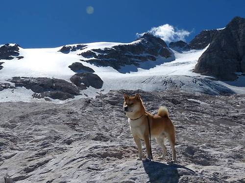 黑白直播网-萨拉赫一手掌控比赛走势，新西兰与加拿大的巅峰对决