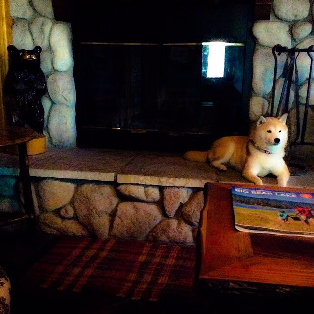 黑白直播网-穿越时空的拉文,山西神射打满评分之夜,上海防线轰然倒塌