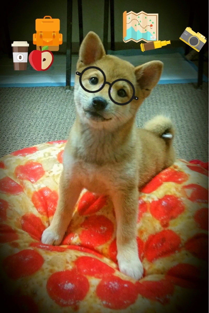 黑白直播网-当NBA遇见欧冠,76人掀翻掘金,绿茵场上的篮坛风暴