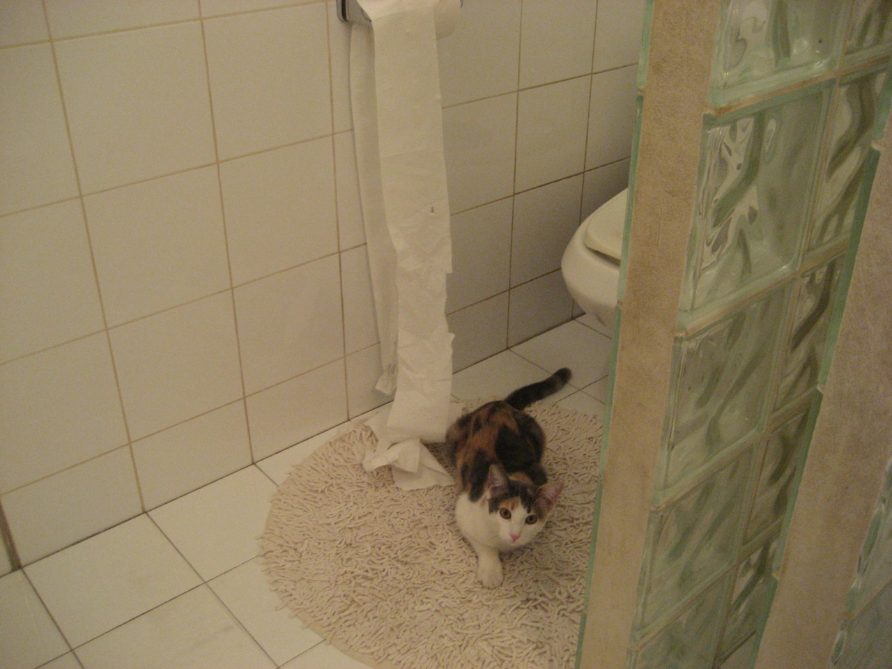 黑白直播-意甲焦点战之夜,莫兰特一手掌控比赛走势