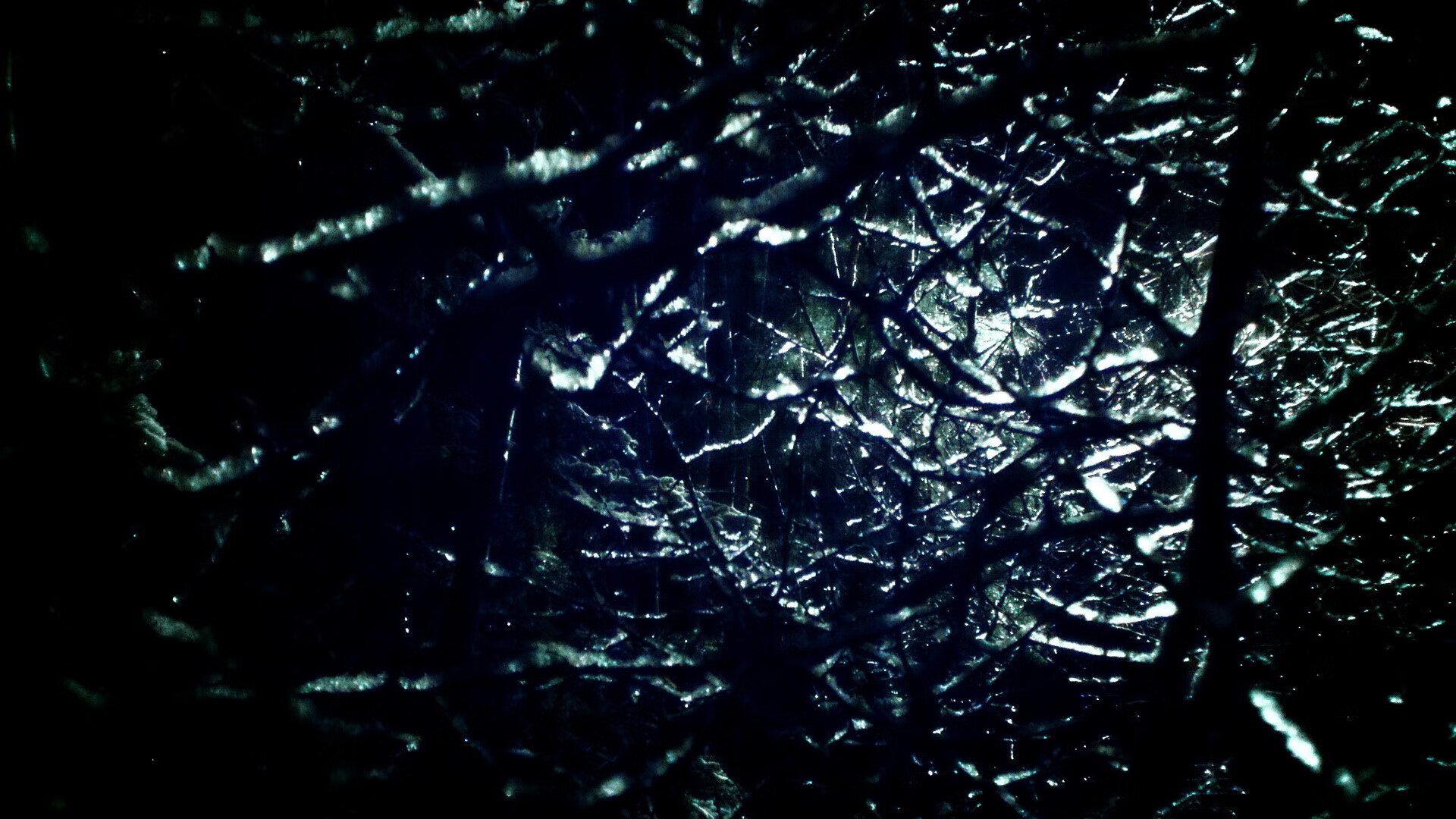 黑白直播网-切特的魔法时刻,生死战最后三秒,一记弧线定义超新星崛起