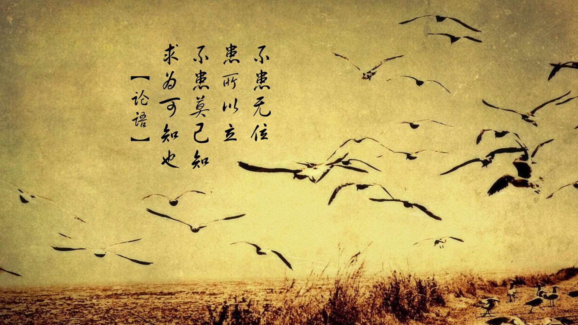 逆袭绿衫军！上海男篮加时险胜，詹皇‘压制级’表现定乾坤