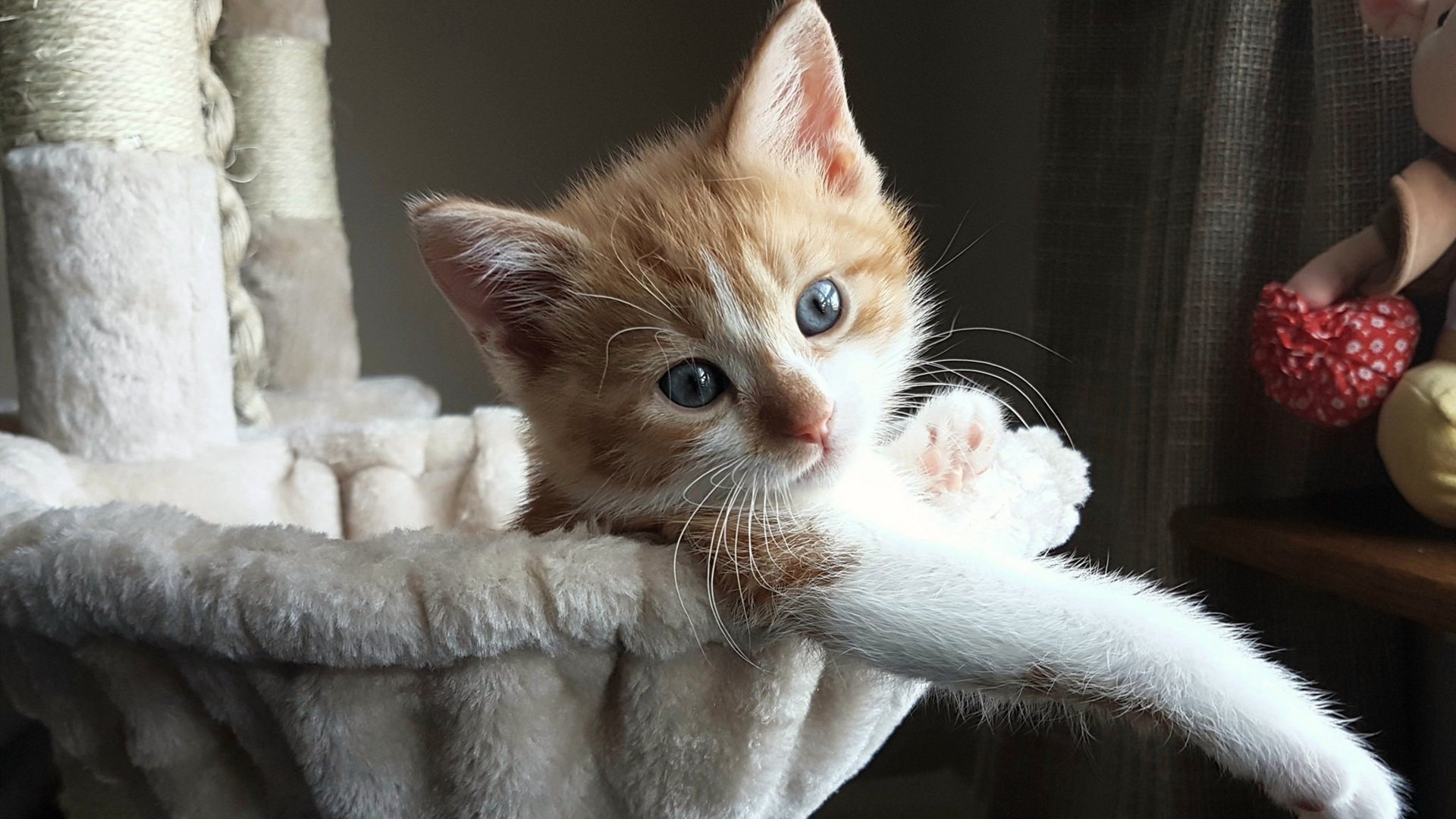 草根逆袭！2026世界杯焦点战，贝蒂斯掀翻红军，新王加冕之夜