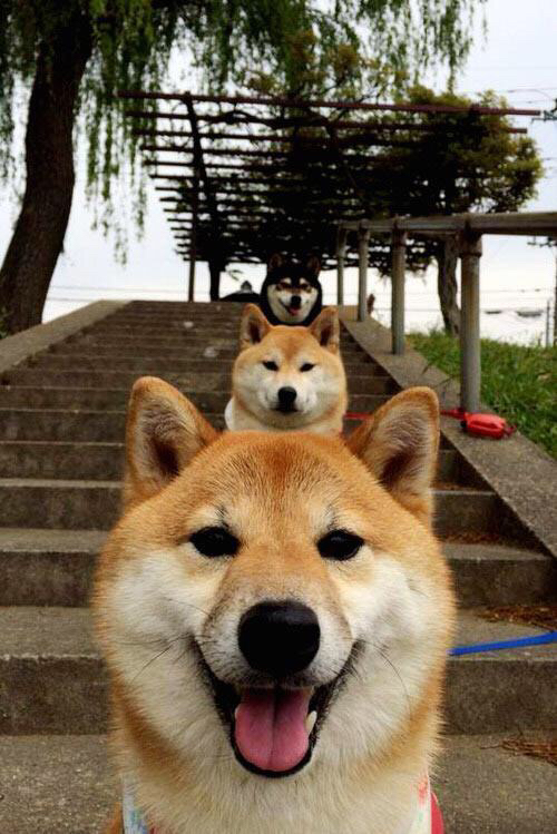 雨战墨尔本，加时绝杀亚特兰大—记2024年F1史诗级冠军转折点