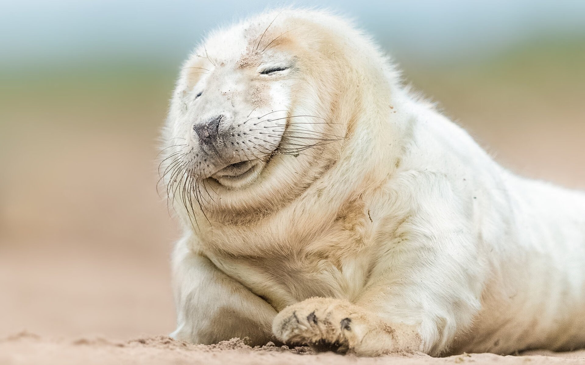 黑白直播-跨界风暴，曼城足球奇迹与奥斯梅恩篮球传奇的交汇