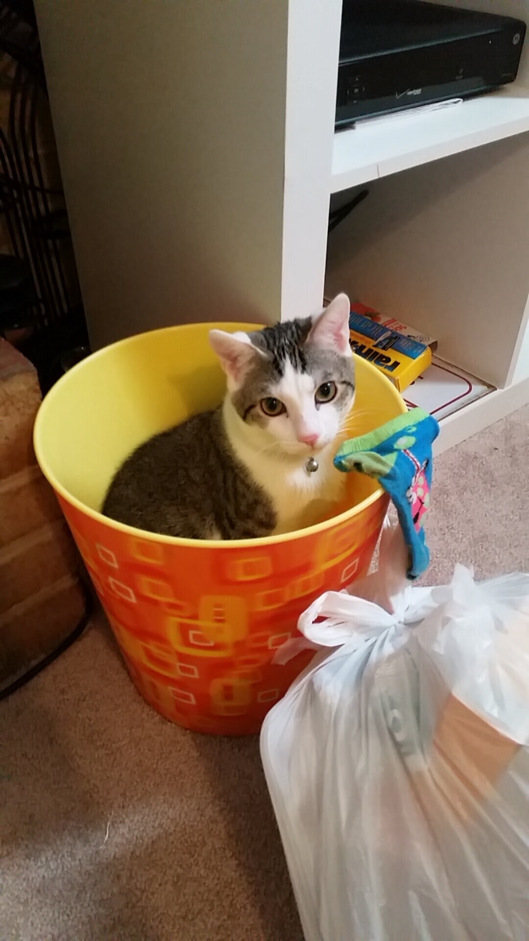 保罗末节封神！黄蜂巅峰对决险胜老鹰，关键先生一锤定音