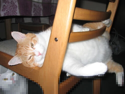 黑白直播体育-绿宝石之心,美加墨暴雨夜,哥伦比亚绝地逆转书写女足新章