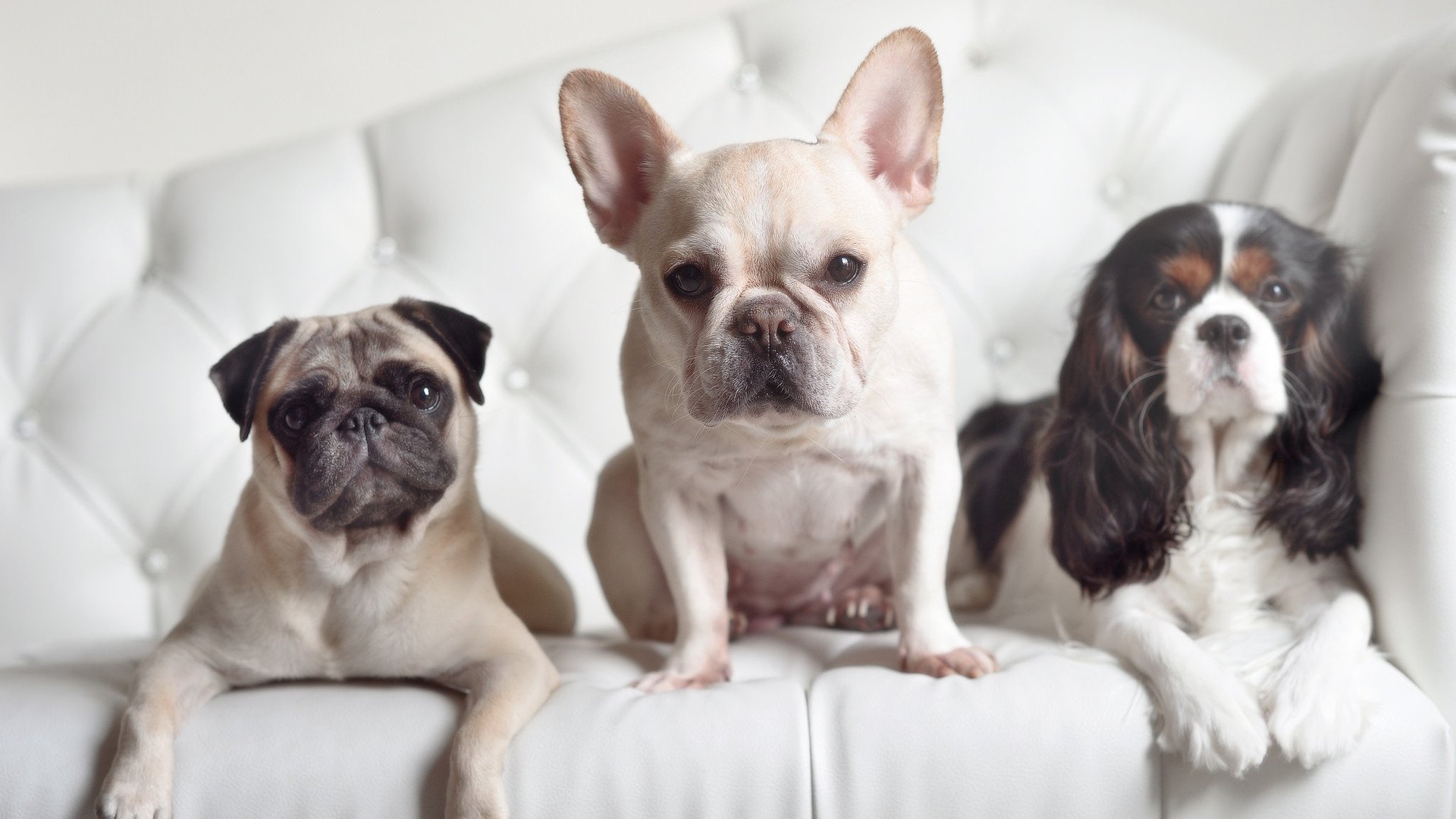 黑白直播在线观看-年度焦点之战，挪威爆冷摩洛哥，足球世界为之震撼