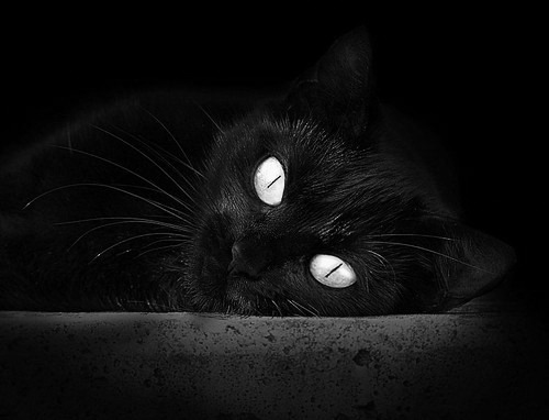 黑白直播-双城记，费城逆转的嘶吼与马德里德比的交响