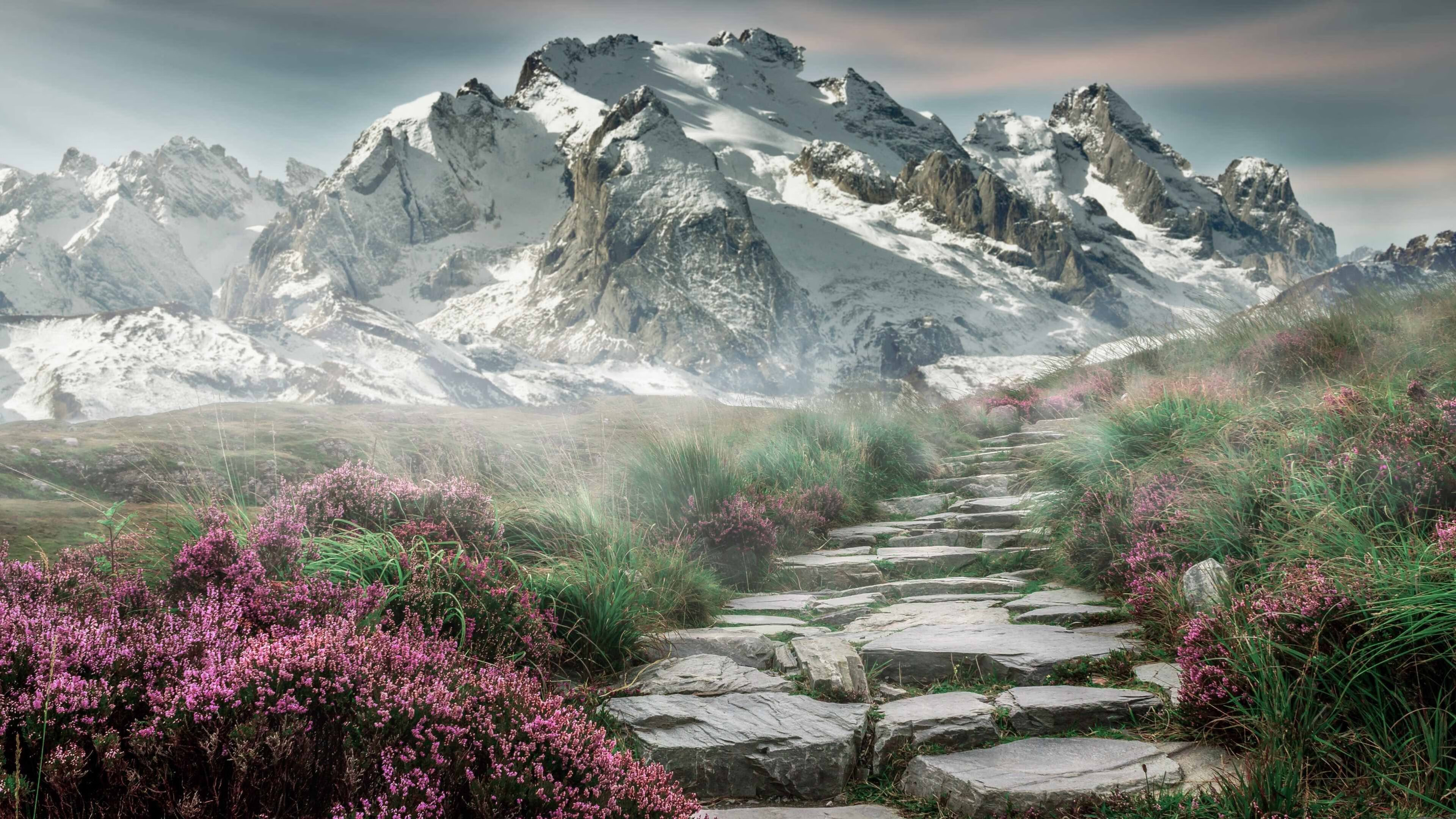 黑白直播免费体育直播-铁幕之下，胜利诞生—记小贾伦·杰克逊的抢七封神夜