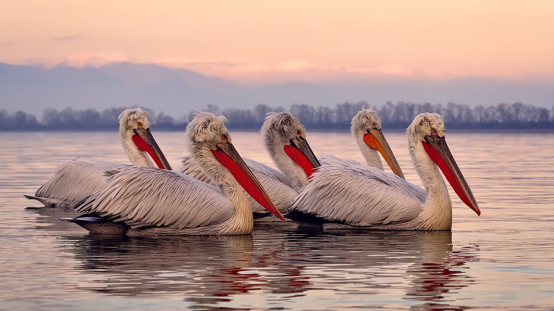 绝境之光，哈登关键挺身，独行侠铁壁压垮太阳