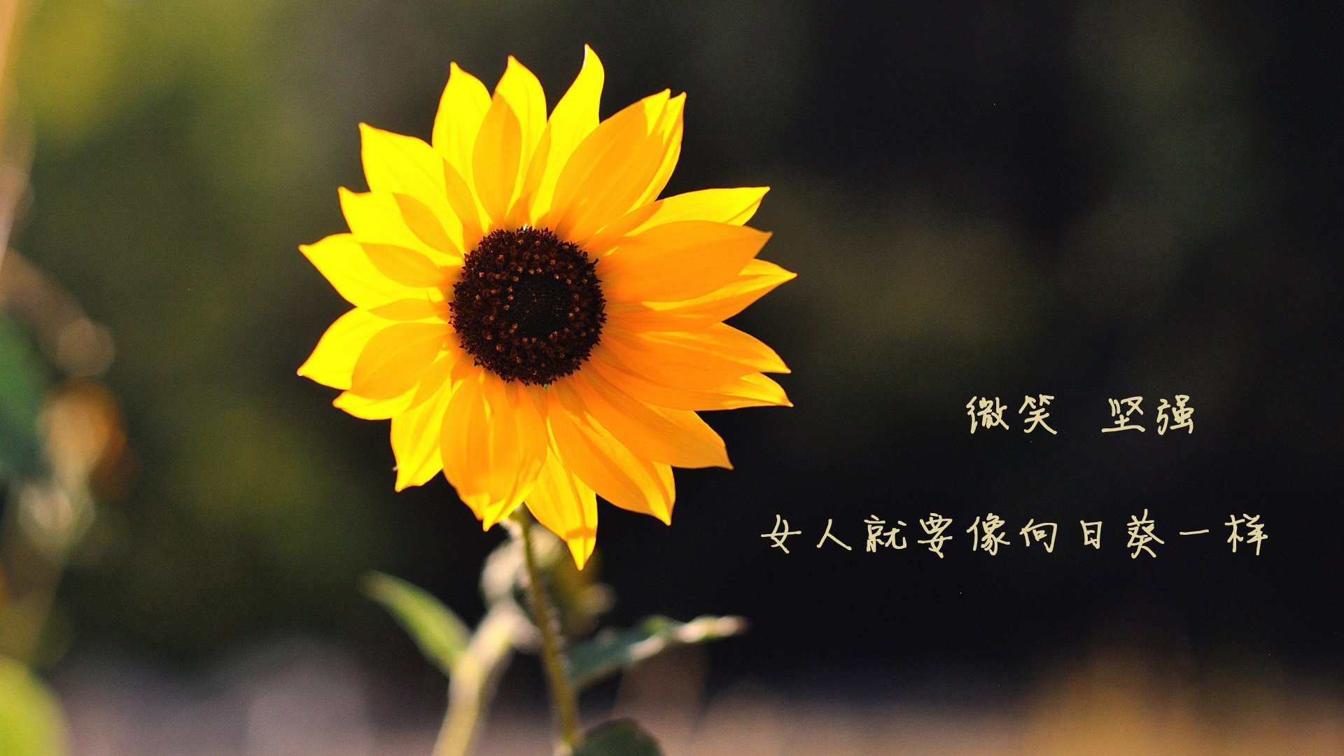 当尼日利亚篮球队完胜希腊,内马尔却在NBA总决赛接管了比赛,我们是否生活在某个体育的平行宇宙?