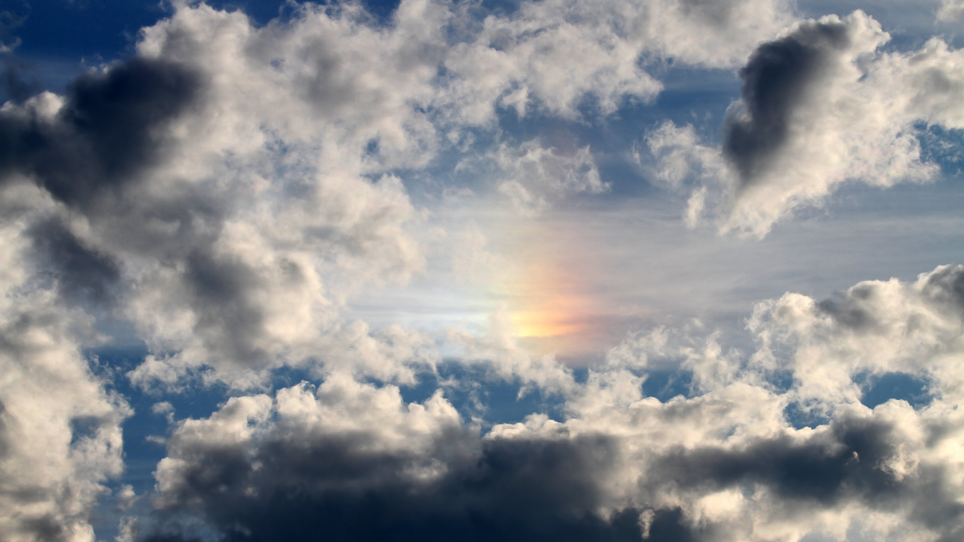 黑白直播在线观看nba-鹈鹕节奏如潮，布伦森硬仗称王