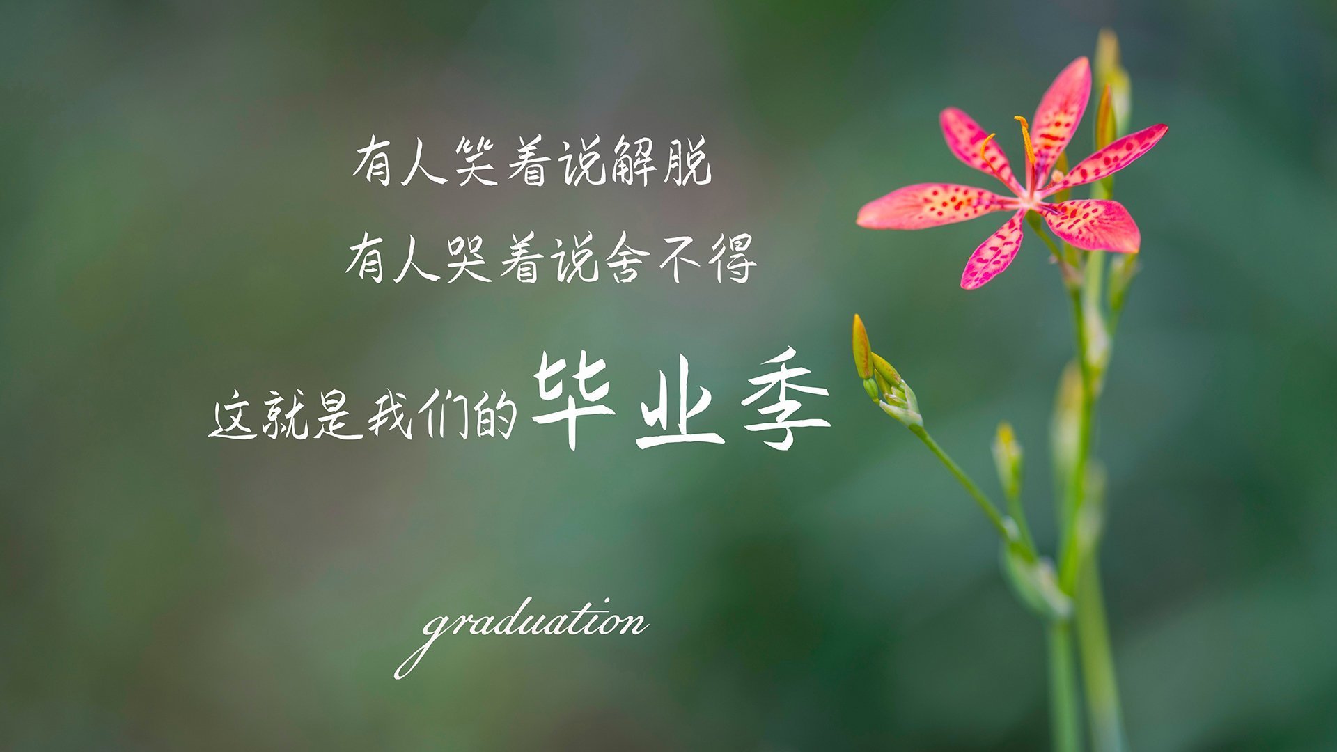 逆转与统治,篮球赛场上的传奇时刻—从广厦队的奇迹到戈贝尔的西决生死战