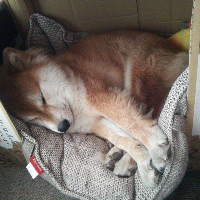 欧文关键战不手软，魔术速胜浙江队，竞技体育，热血与冷静的双重奏