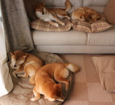 东城围猎，西陆封神，竞技世界永不熄灭的战火