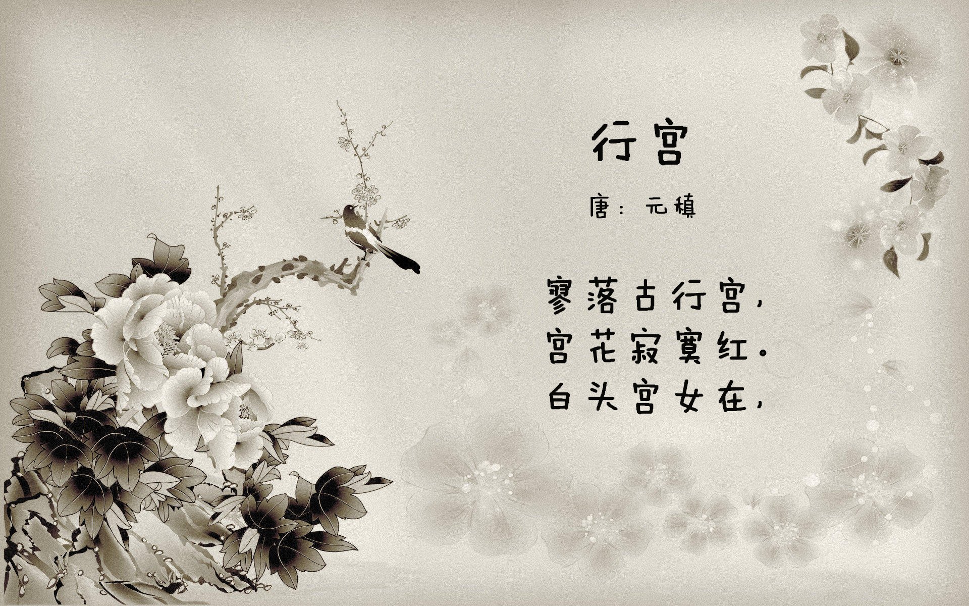 当非洲之星照亮圣西罗，从足球荒漠到F1街道的当代体育狂想曲