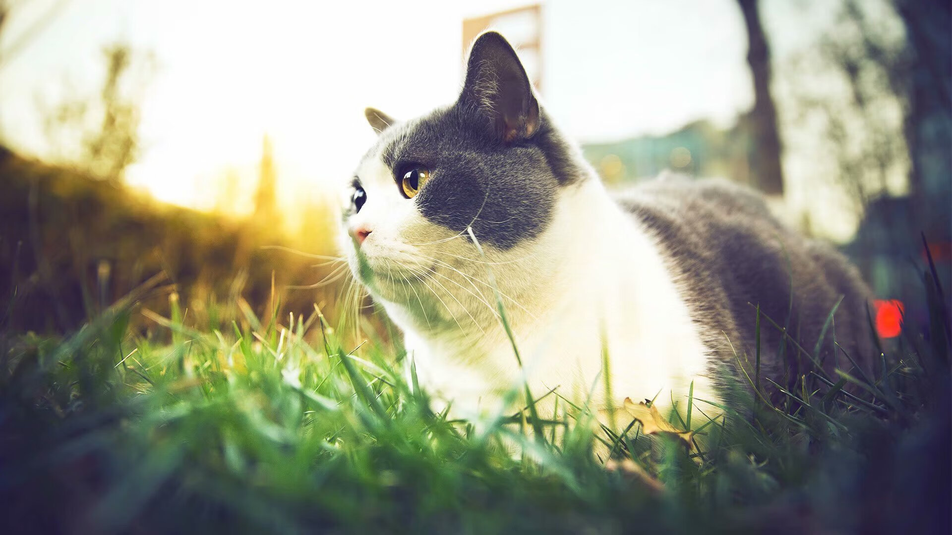 绿茵传奇再展翅，一场虚构友谊赛，见证阿圭罗不老的锋刃