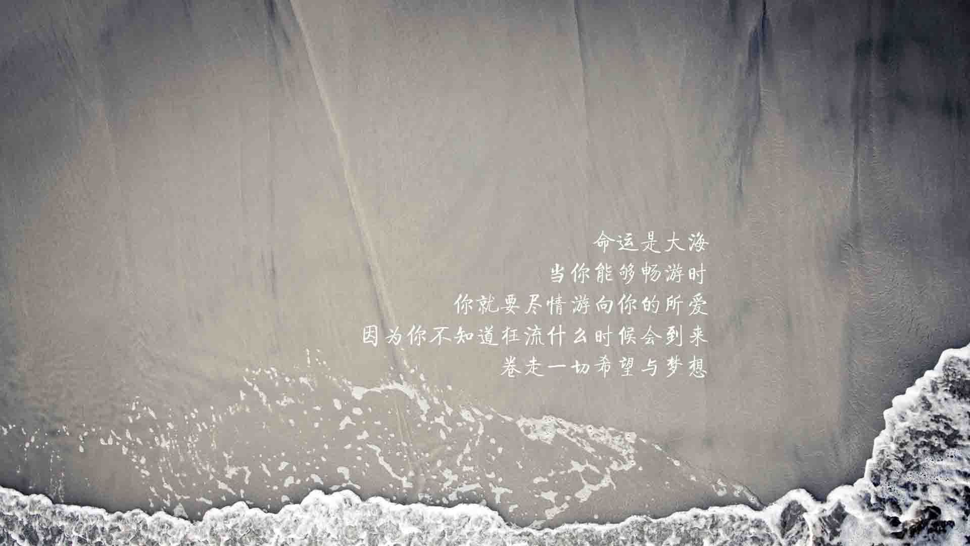 黑白直播在线观看-橙色风暴席卷绿茵,2026世界杯B组关键战,荷兰大胜沙特,格列兹曼带队取胜