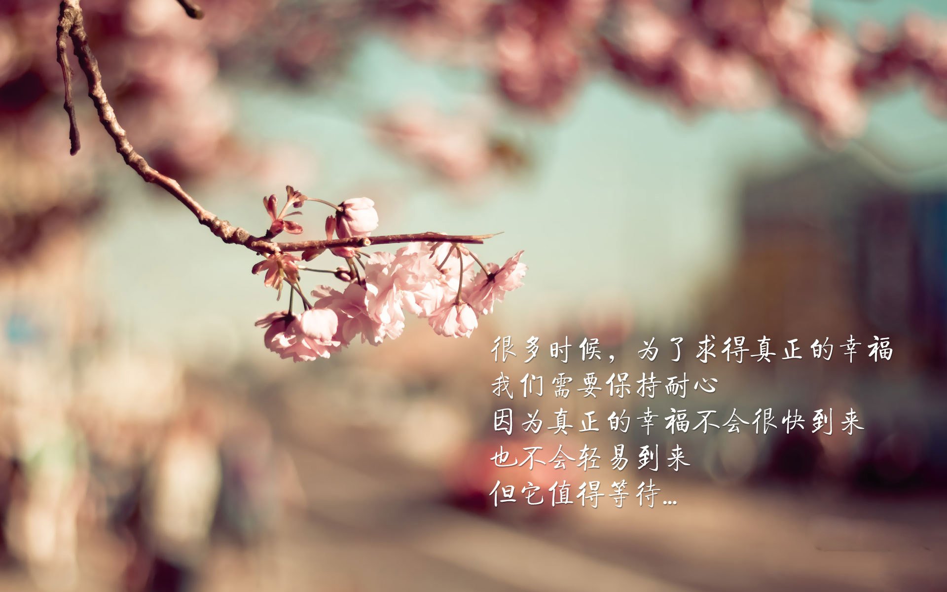 黑白直播体育-致命一击，法兰西破茧重生—萨卡绝杀阿联酋，2026世界杯E组风云再起