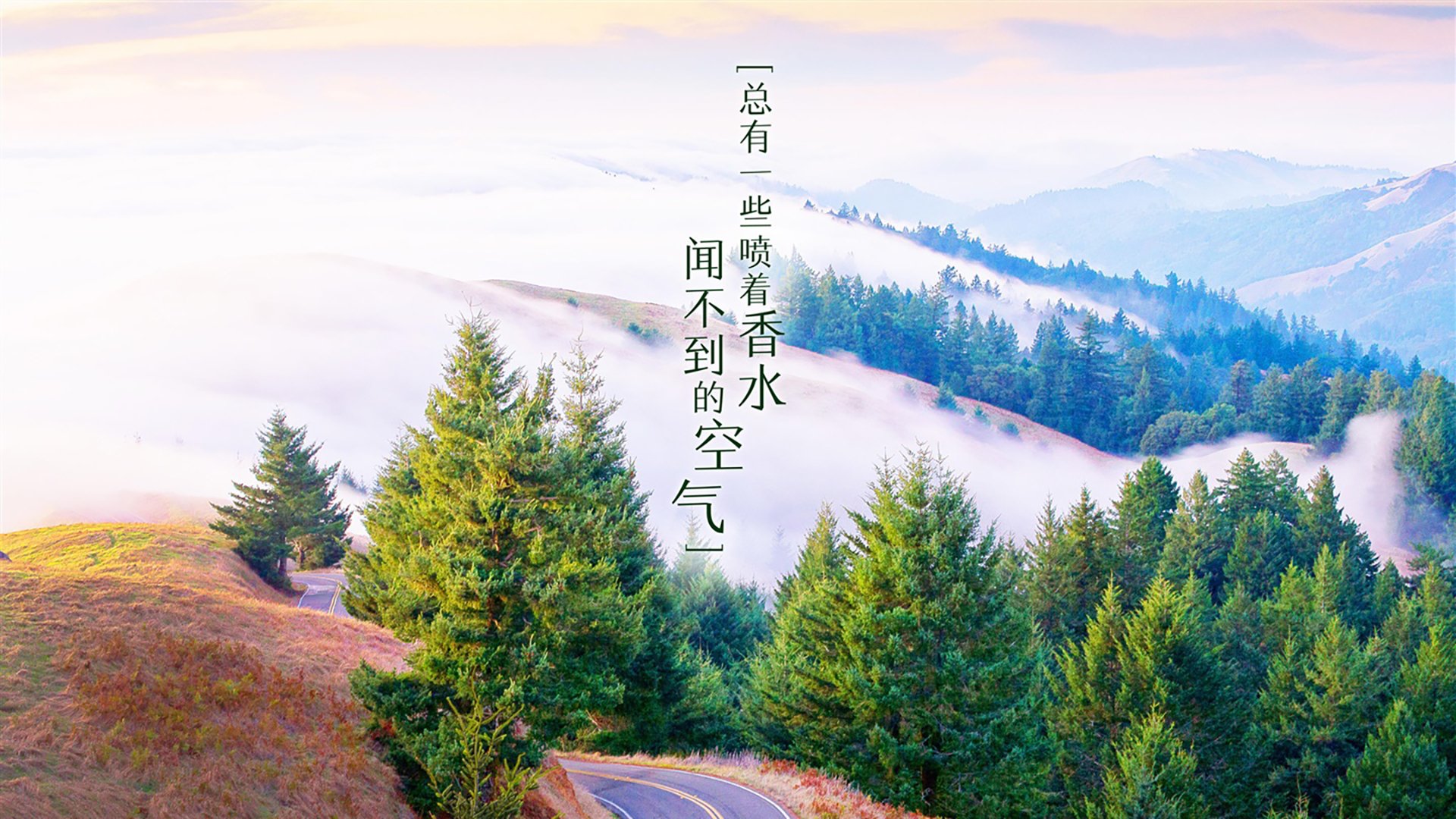 风暴中的潘帕斯雄鹰，乌拉圭大胜匈牙利，哈兰德与新双核掀起F组血色狂潮
