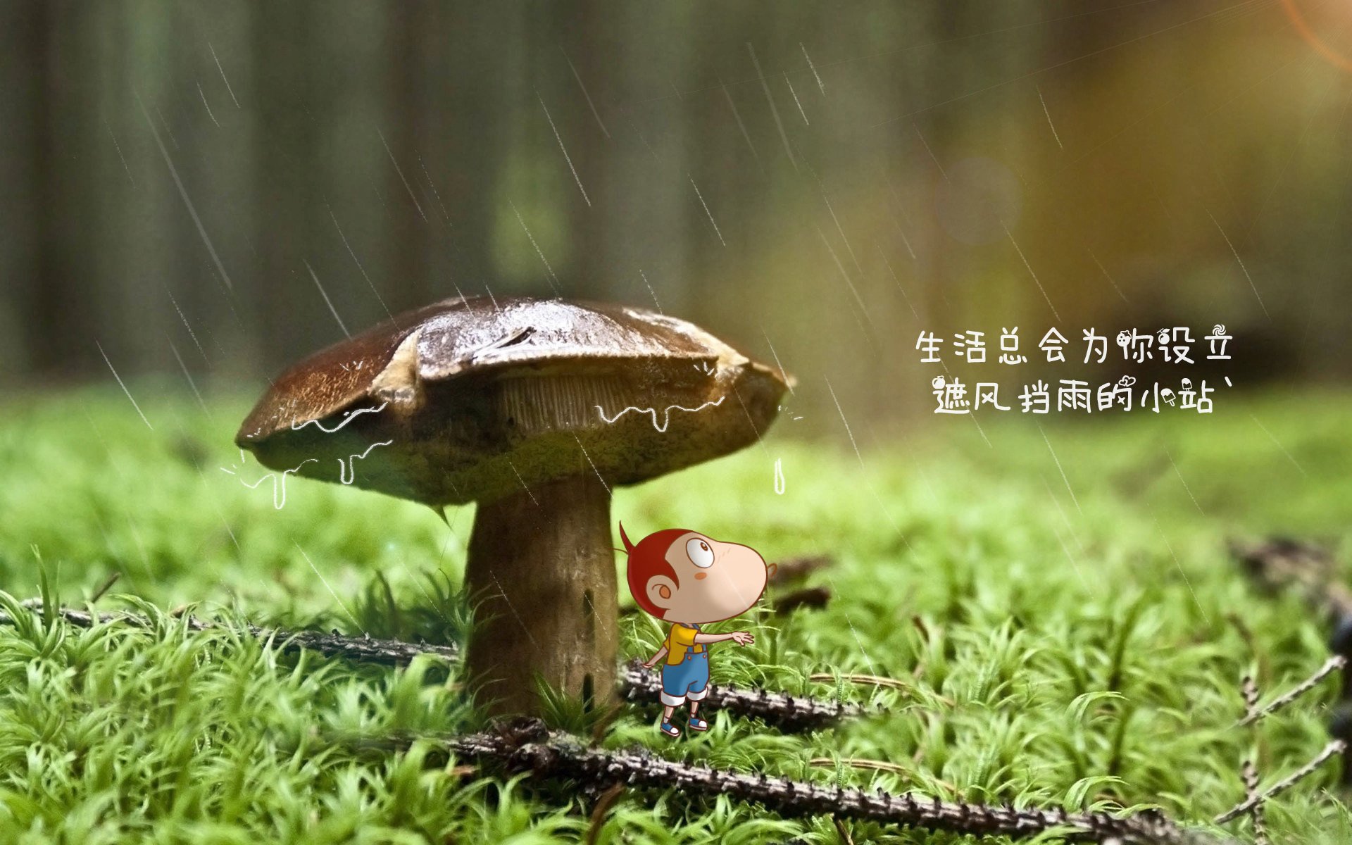 致命一击,穆西亚拉绝杀加纳,日本战术压制锁定C组出线权
