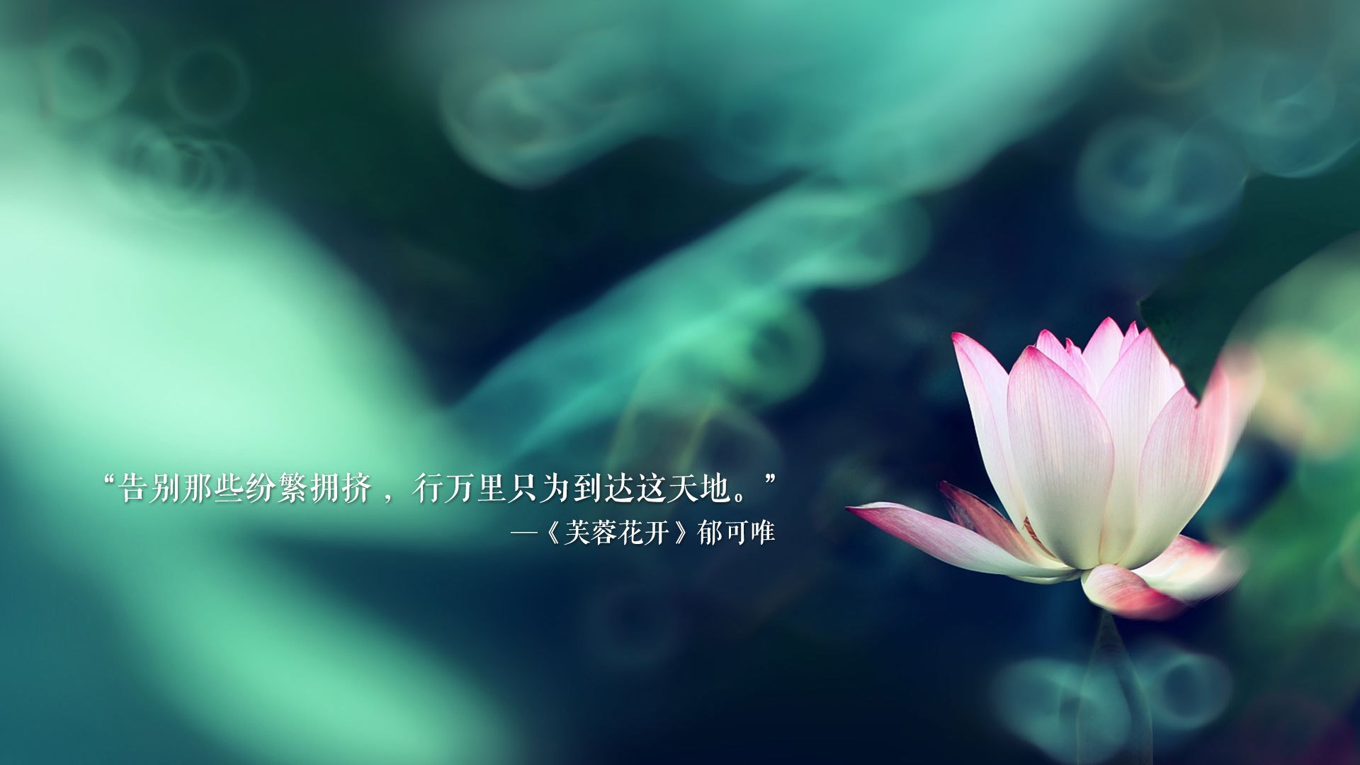 黑白直播在线观看-致命一击的华丽乐章,2026世界杯B组,西班牙绝杀秘鲁,坎塞洛书写攻守转换的完美诗篇